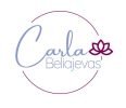 Cópia de COLORIDO_final_logo